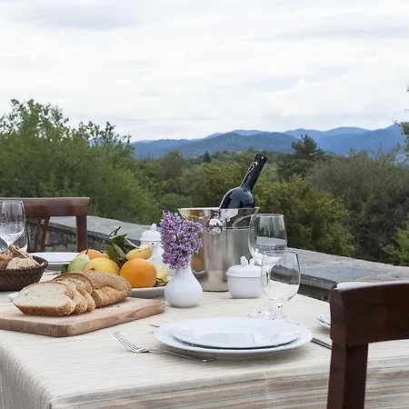 Aiora Luxury Витина